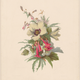 Image for article titled This Exhibit on Female Printmakers Is a Treasure Trove of Fascinating Women